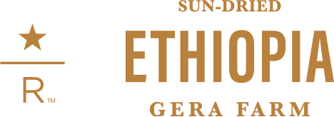 SUN-DRIED ETHIOPIA GERA FARM